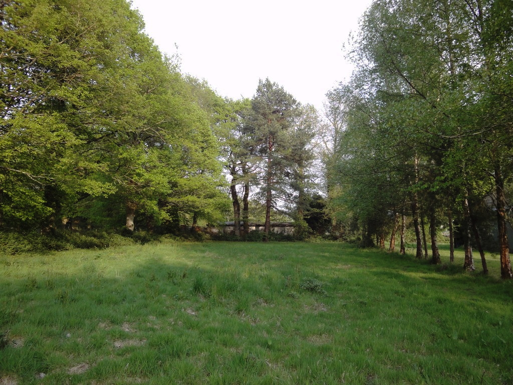LesChenes_projet_00